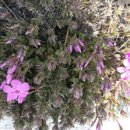 J&B(제이앤비)무인텔 이미지