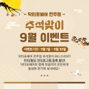 닥터포헤어전주