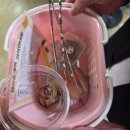 5542 | 홍대 이색 데이트 코스, 5층 규모 실내 동물원 테이블에이 추천 후기