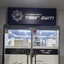 타이거짐 | [운동] 이천 타이거짐 PT 후기