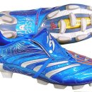 엡솔루트 이미지