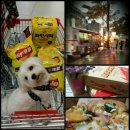 승희Energy 이미지