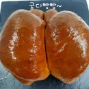 보고피드 이미지