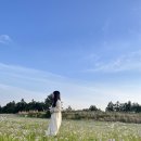 성읍리-5 이미지