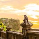 빠당빠당 이미지