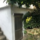 산호동197 이미지