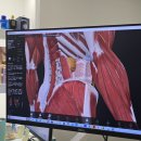 광화문경희한의원 | 추나요법 직장인 골반교정 후 일상이 편해진 후기