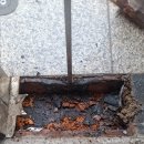 생극우체국 이미지