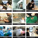 세이프치과의원 | 🚨 방배동 임플란트 치과 추천 TOP 5 (2026 최신)