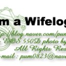 아람소프트 이미지