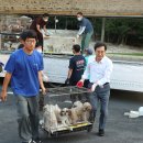 강아지와고양이나라 동물병원 이미지