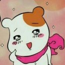 대성중화요리 - 강릉시 경포로15번길 15 | 대성중화요리