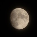 영산강서창들녘억새길 이미지