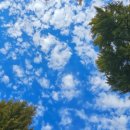 홍원막국수 여주점 이미지