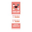 고양이미용연구소 이미지