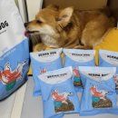 with dog(위드독) | 강아지 다이어트사료 기호성 좋은 더마독 슬리밍 Derma DOG