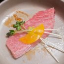 참치의신 이미지