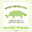 보성녹돈 이미지