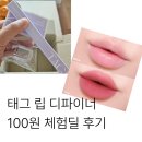 포인팅 | 100원 체험딜 태그 립라이너 후기｜플럼핑 립 디파이너 포인팅 로즈 언박싱 사용후기