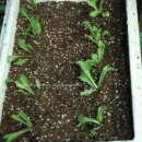 세경농장 이미지