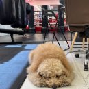 용인대 SM복싱클럽 구로디지털단지역점 이미지