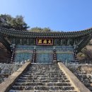 이칠만 Daum카페