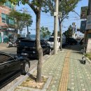 해적바다실내낚시터 | [울산 / 동구 방어동] 색다른 울산 데이트 코스 실내 울산 바다낚시터 “해적 바다실내낚시터”