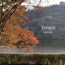 금암1동-14(삼성생명 앞) | 용인 에버랜드 옆 호암미술관 단풍 구경 후기 (입장료 · 예약 · 주차 · 루이스 부르주아 전시...