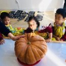 토토어린이집 이미지