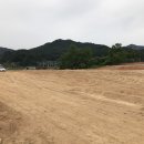 태성 태양광발전소 이미지