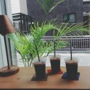 커피 탱크(Coffee Tank)