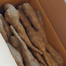 윤 농장 이미지