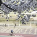 장암동아파트 ~ 동막교 이미지