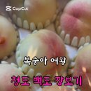 ６６번중매인