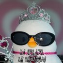 별하나별둘 이미지