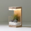 원목 트리 led무드등 | 원목 플랜테리어 식물 LED 무선 무드등 집들이 선물 네추럴 베이지 이오난사 기본 후기