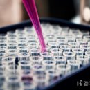 (주)서울유니온약품 이미지