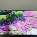 궁애드 | 26년 3월 4~4월 2주차