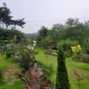 소나무가든민박 이미지