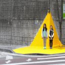 횡단보도옐로카펫 이미지