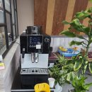 바보형제쭈꾸미(일산점) 이미지