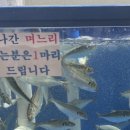 비내섬스케치 이미지