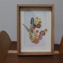 이리얼라이프 이미지