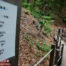 우면산5-7 이미지