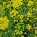 지혜목장 이미지