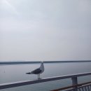 솔찬공원 이미지