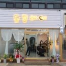 돌콩헤어 이미지