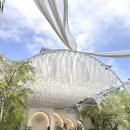 둔산중로134번길 이미지