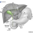 은빛사랑요양병원 이미지