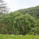 영원을위하여 이미지